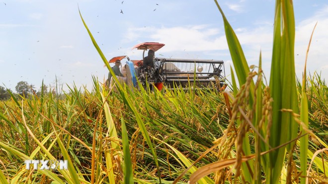 Tăng cường cơ giới hóa trong nông nghiệp.