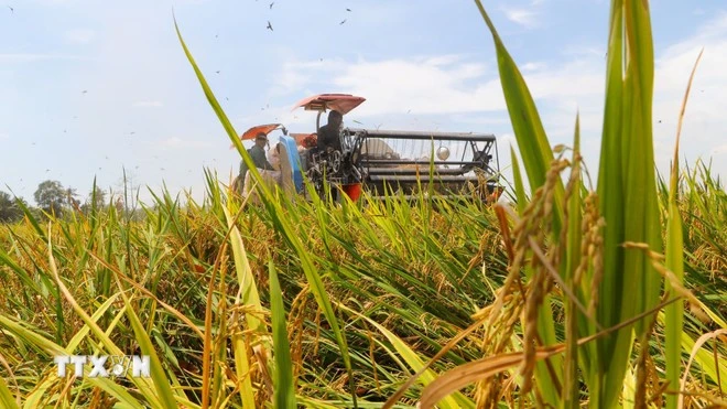 Tăng cường cơ giới hóa trong nông nghiệp.