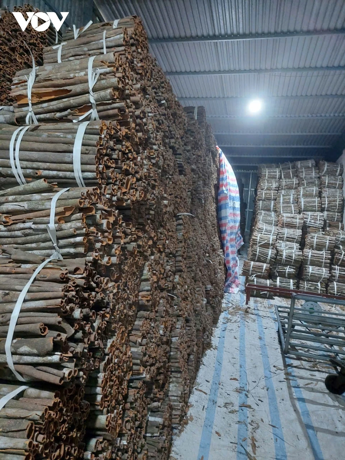 Các sản phẩm quế khô của ông Trần Văn Tráng được sơ chế, bảo quản theo quy chuẩn ngay tại chân đồi.