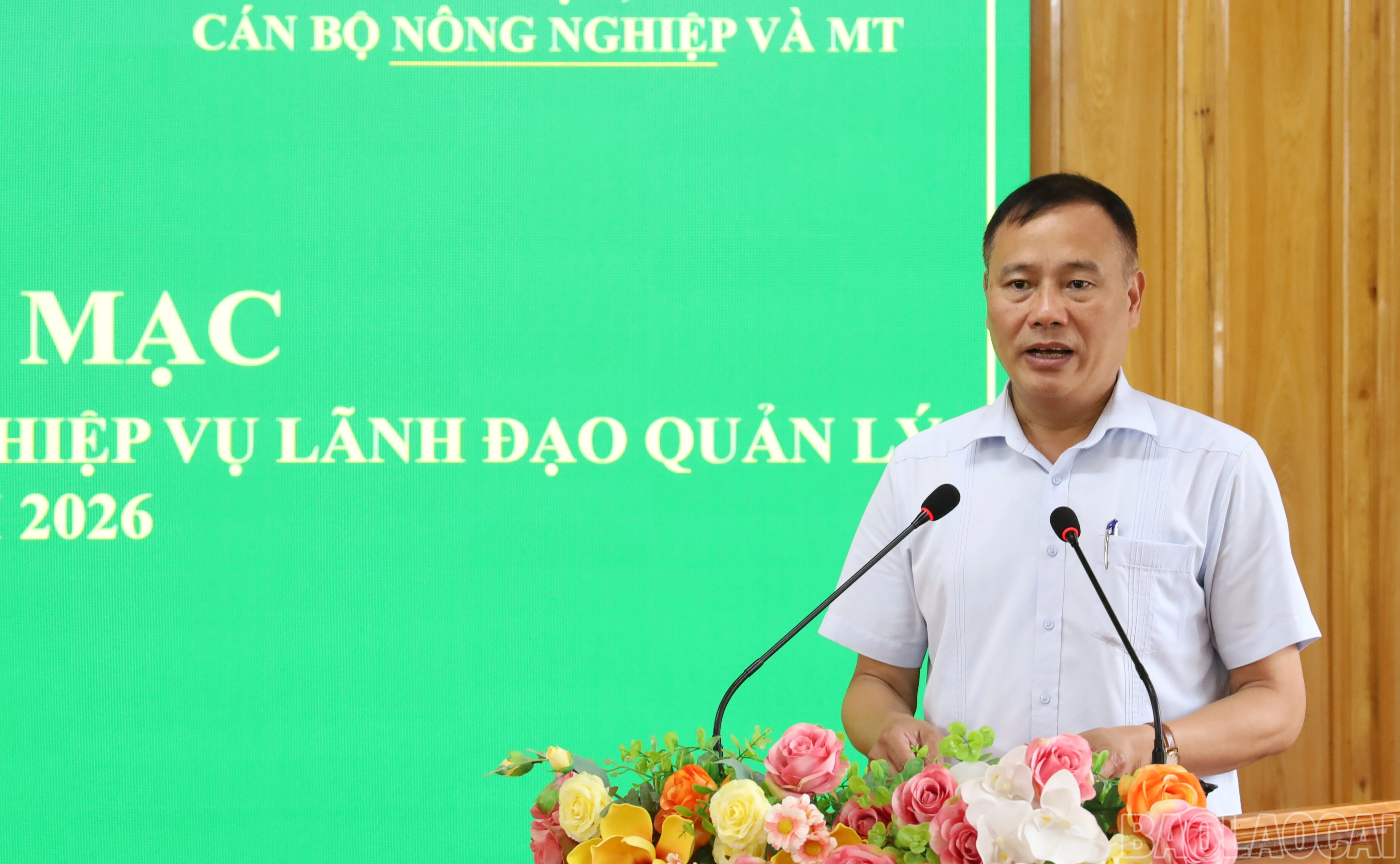 baolaocai-br_br-img-2867.jpg