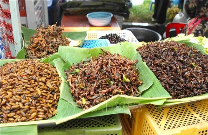 Các loại sản vật, món ăn truyền thống của người dân Campuchia được giới thiệu, bày bán tại thắng cảnh Wat Phnom (Chùa Núi) ở trung tâm thủ đô Phnom Penh.