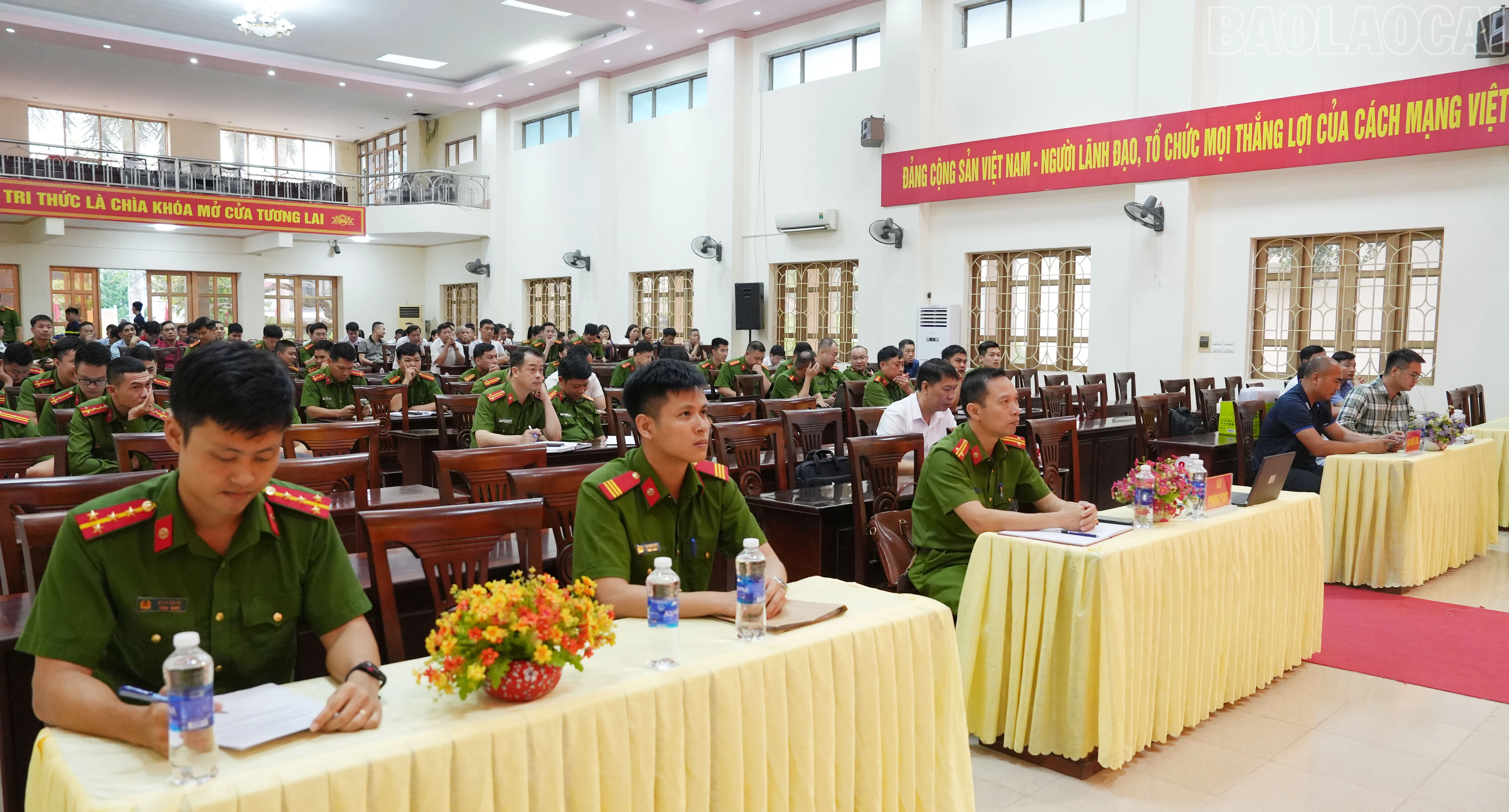 baolaocai-tr_anh-3.jpg
