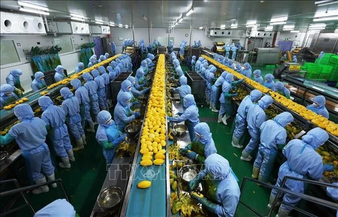 Gần 40 năm đổi mới, Việt Nam trong nhóm 40 nước có nền kinh tế lớn nhất thế giới và 20 nền kinh tế hàng đầu về thương mại và thu hút đầu tư nước ngoài.