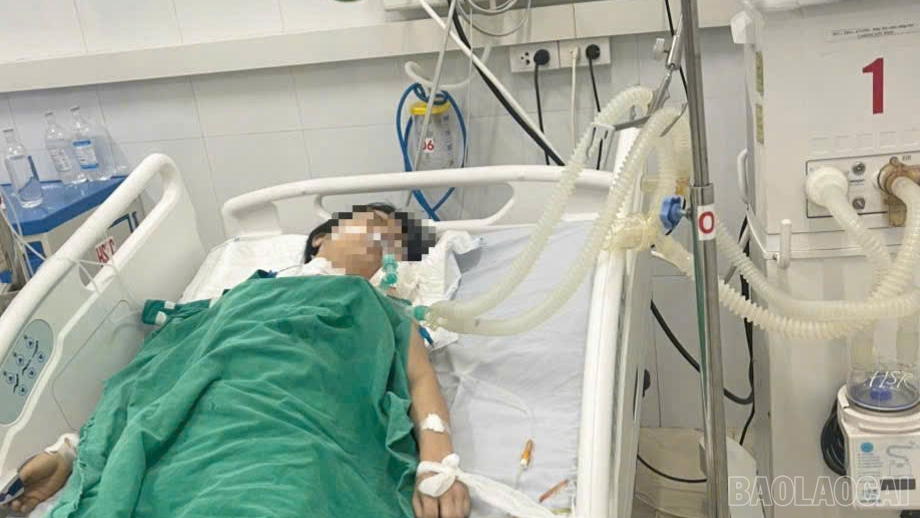 baolaocai-br_sau-khi-duoc-truyen-mau-kip-thoi-benh-nhan-da-qua-con-nguy-kich-3025.png