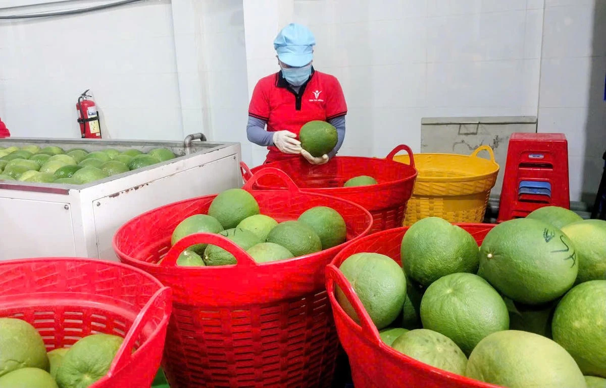 Nông sản Việt Nam đang có mặt tại thị trường các nước.