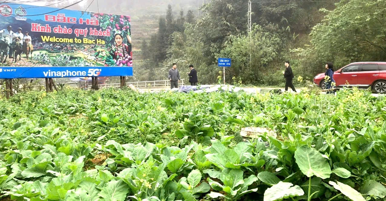 Du khách trải nghiệm đặc sắc tại cao nguyên trắng Bắc Hà.