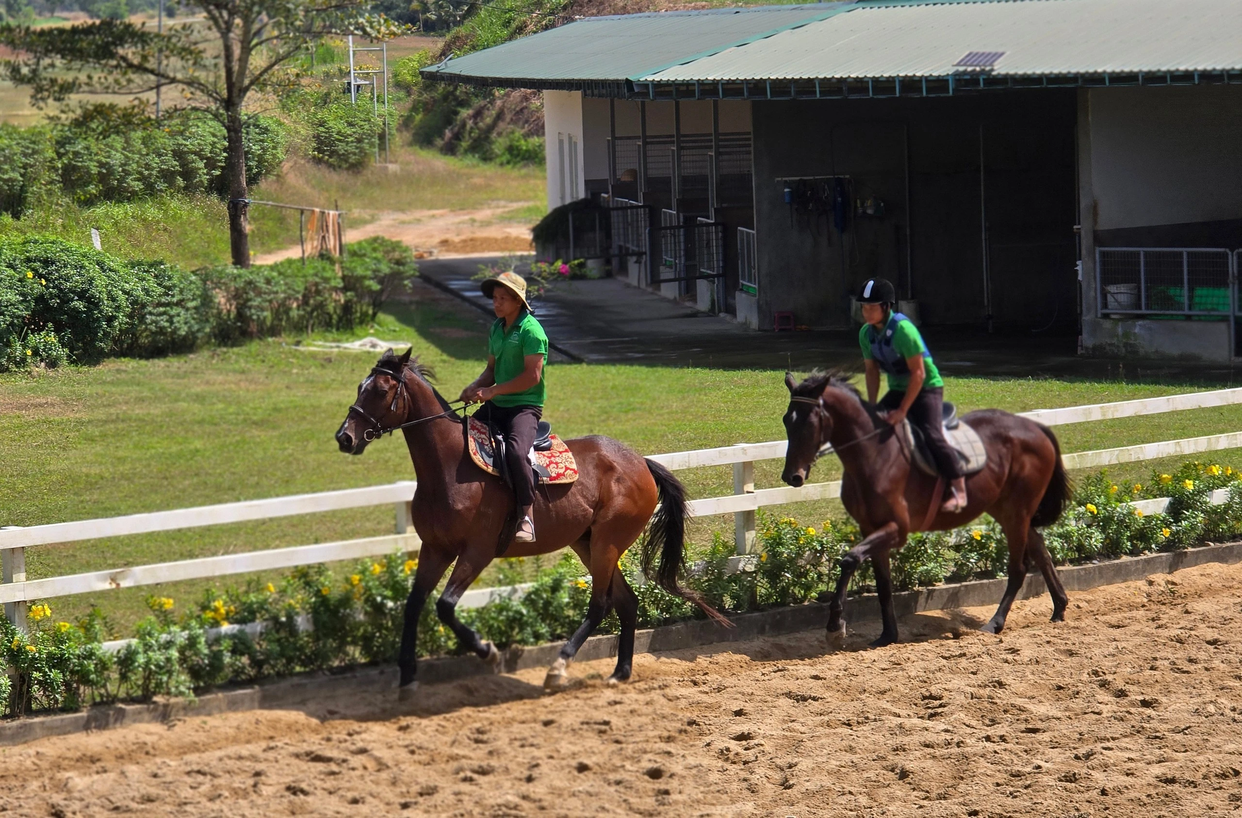 Cũng trong năm 2025, Trường đua Thiên Mã Madagui đã tổ chức giải cưỡi ngựa phong trào vượt địa hình không chuyên lần đầu tiên tại Lâm Đồng, với tổng giải thưởng lên tới 1,5 tỉ đồng, thu hút 20 tuấn mã đến từ 9 câu lạc bộ cưỡi ngựa.