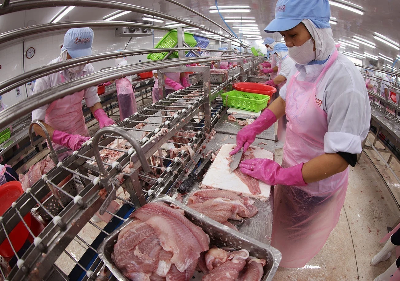 Chế biến sản phẩm cá tra phi lê xuất khẩu ở nhà máy của Công ty CP Gò Đàng Tiền Giang.