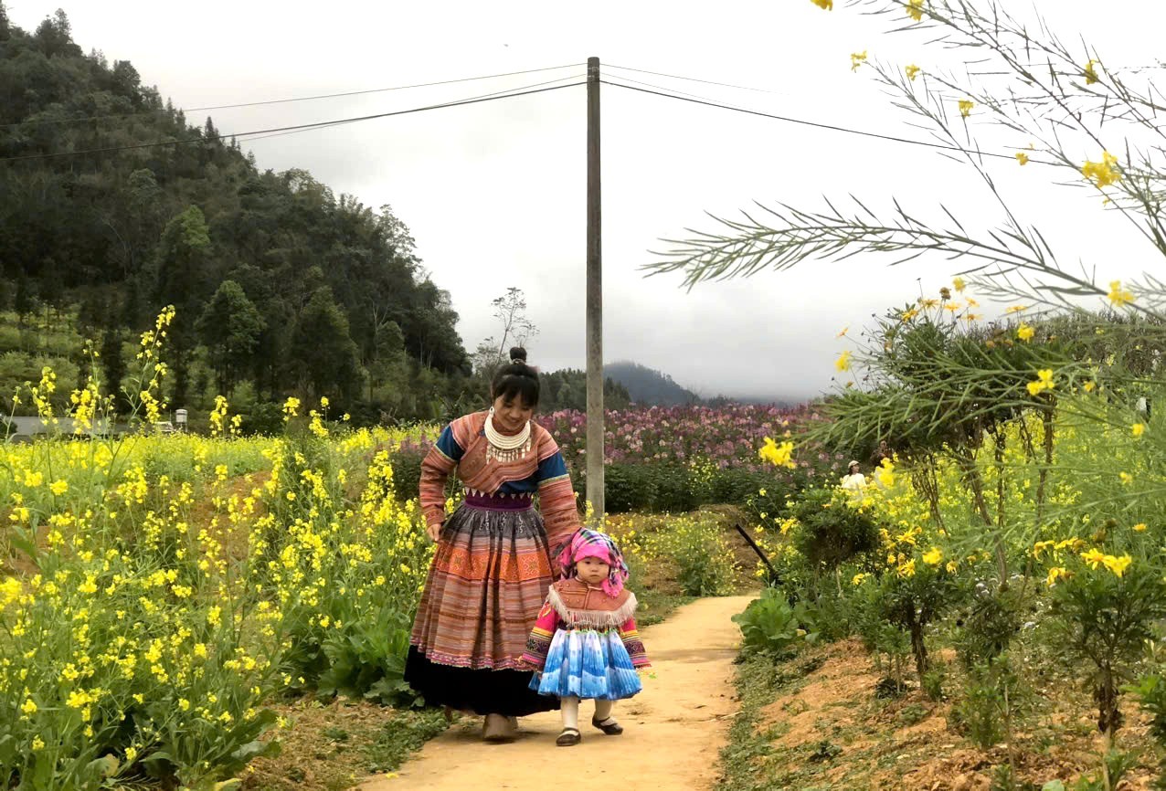 Đến Bắc Hà, du khách đắm chìm trong cánh đồng hoa cải vàng rực rỡ. Cùng với đó là không khí bình yên và nhẹ nhàng của cao nguyên trắng, giúp bạn nghỉ ngơi, thư giãn thoải mái sau những bộn bề của cuộc sống thường nhật.