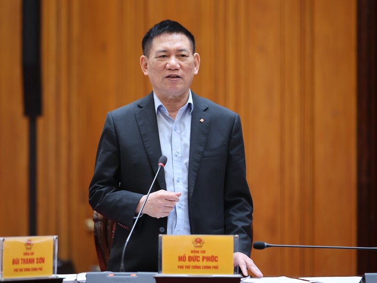 Phó Thủ tướng Hồ Đức Phớc phát biểu.