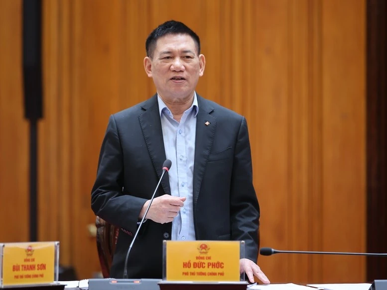 Phó Thủ tướng Hồ Đức Phớc phát biểu.