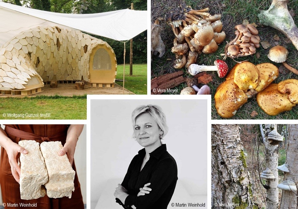 Theo Tiến sĩ Vera Meyer, vật liệu xây dựng từ nấm có nhiều ưu điểm như khả năng tái sinh, trọng lượng nhẹ nhưng vẫn bền chắc.