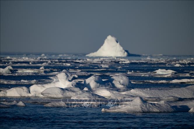 Băng tan do nhiệt độ ấm lên tại đảo Greenland thuộc Bắc Cực.