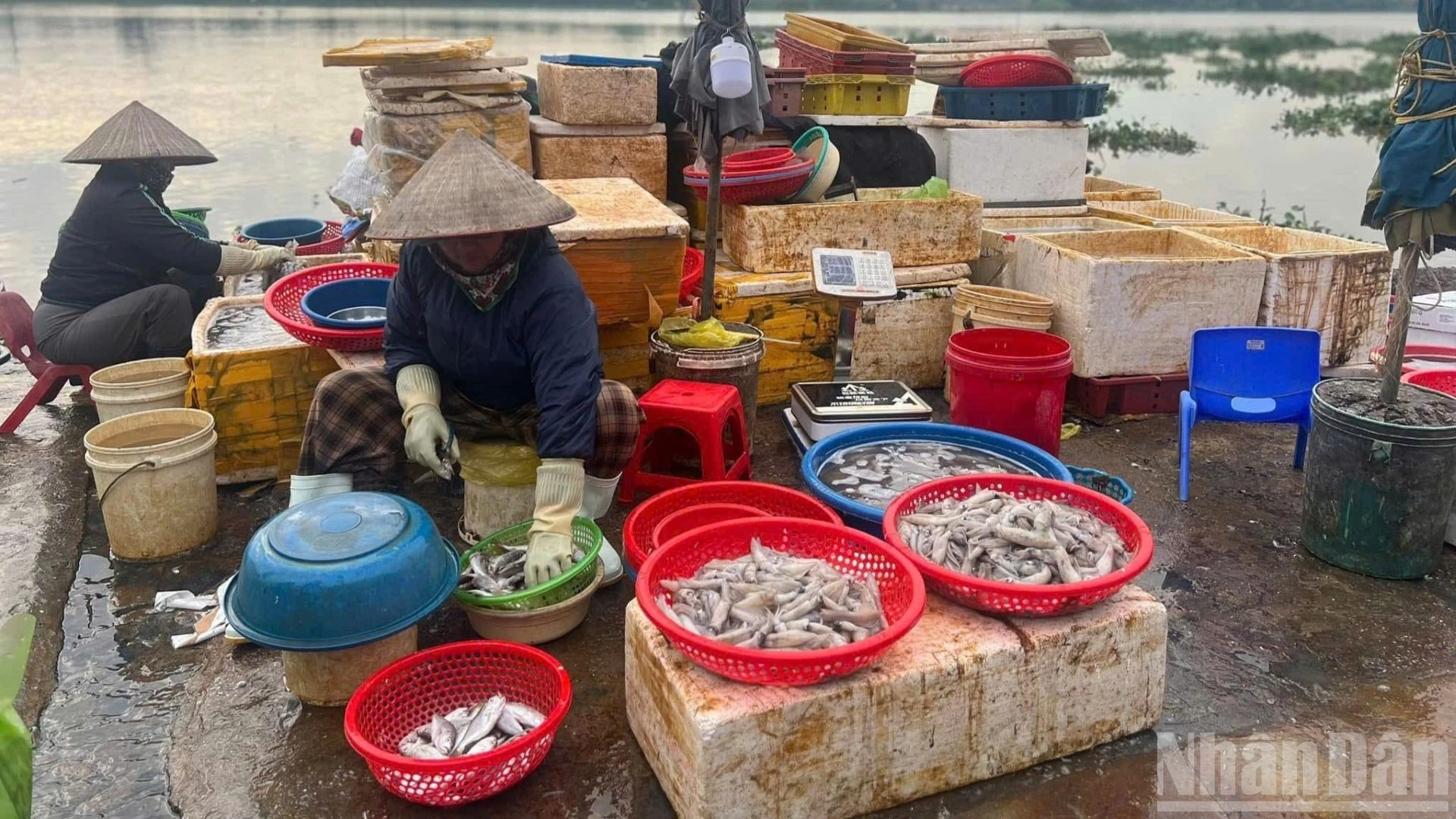 Thu thập thông tin nhằm hoàn thiện dữ liệu kinh tế quốc gia. (Ảnh: HNV)