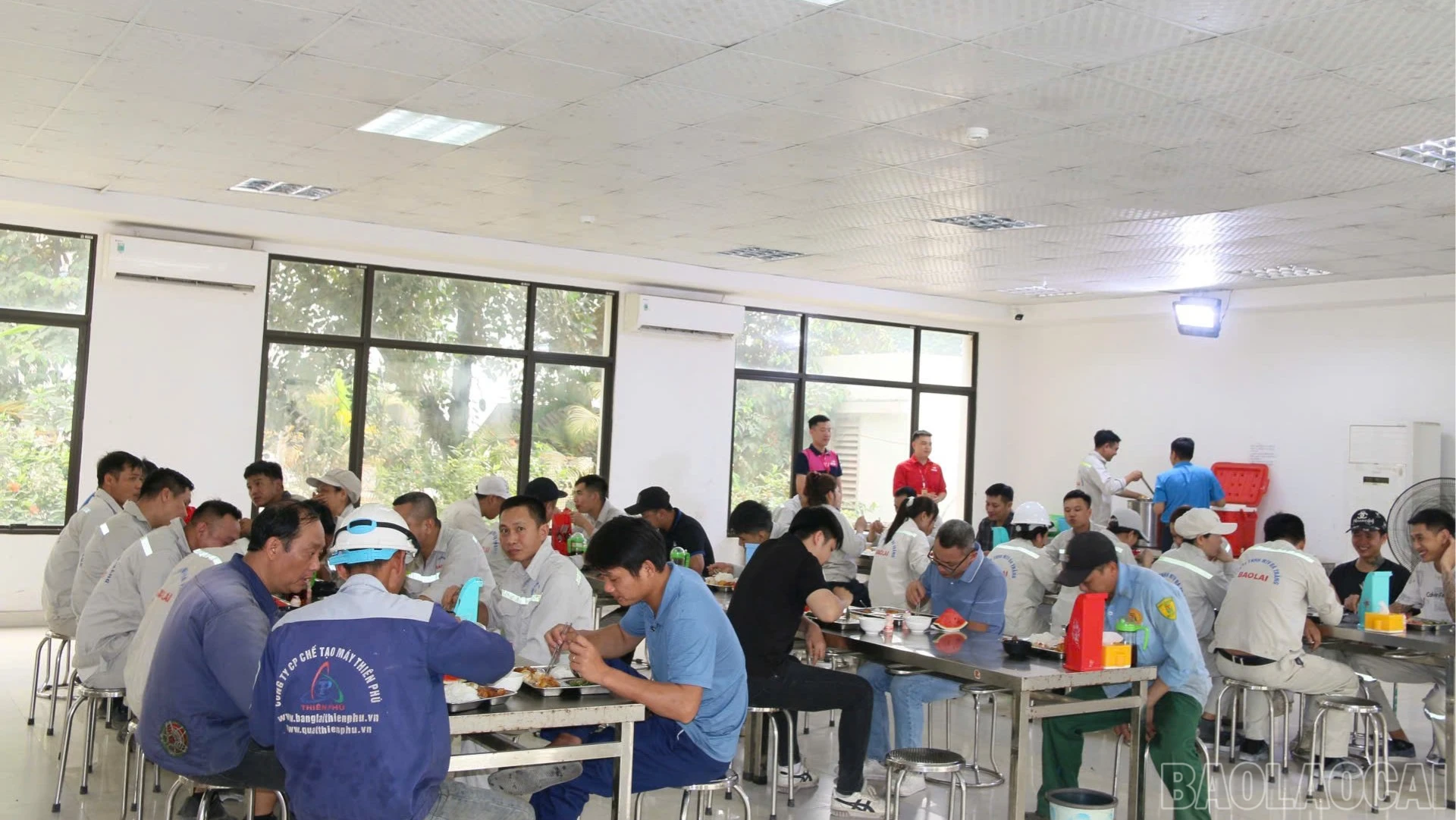 baolaocai-br_br-z7734560427451-1ab3f4ab0fb6c3a327ab14647ec62a1e.jpg