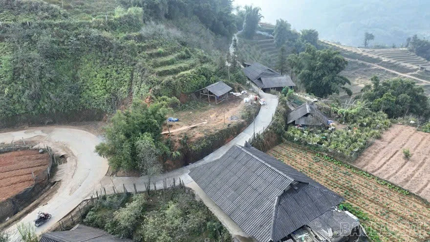baolaocai-br_z7480318807862-7af35fbb78df3319e65a7676c9ca7eb0.jpg