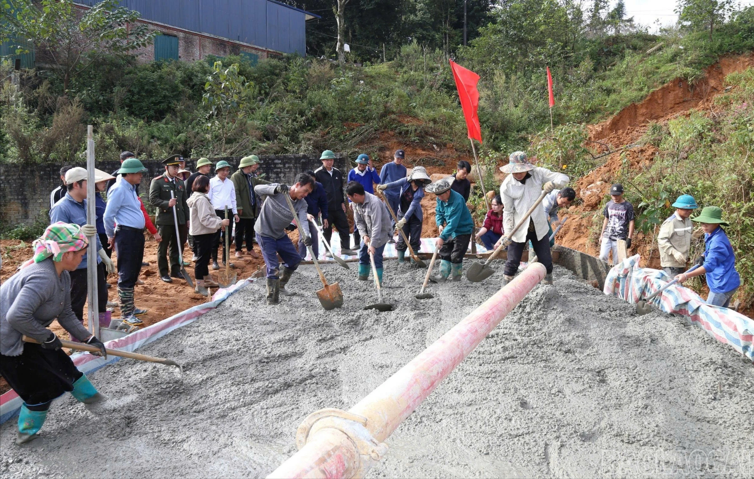 baolaocai-br_anh-3-2882.jpg