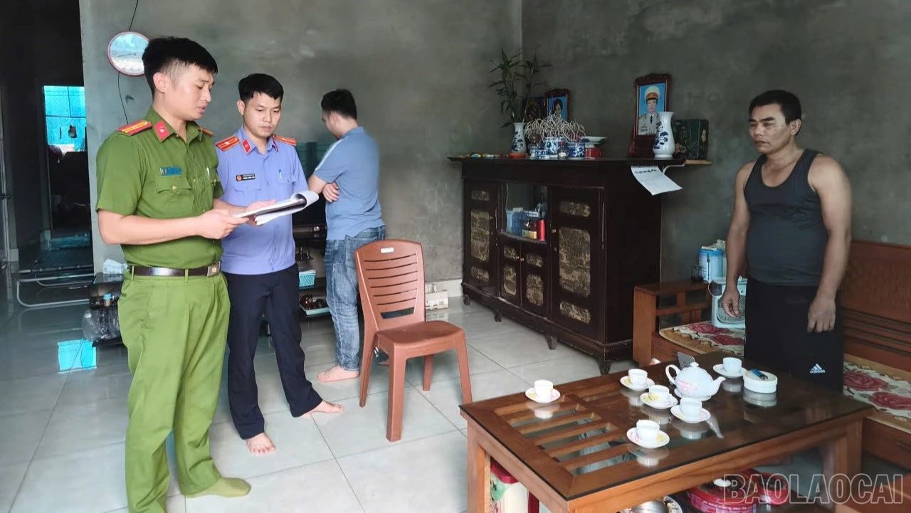 baolaocai-br_anh-1-469.jpg