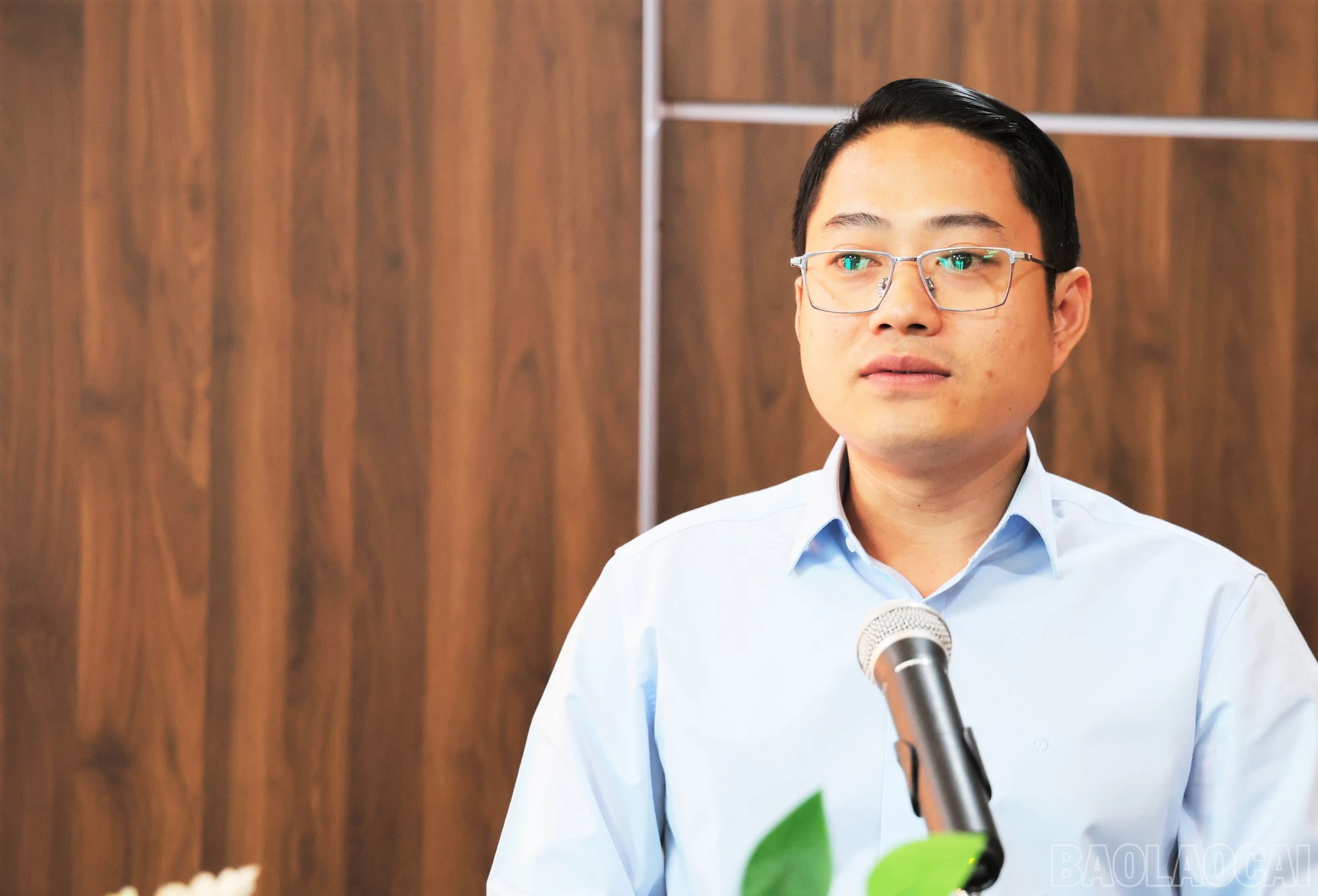 baolaocai-br_1-2155.jpg