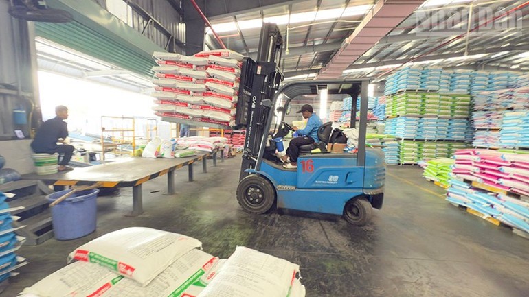 Cơ cấu lao động có việc làm năm 2025 tiếp tục chuyển dịch theo hướng công nghiệp hóa và phát triển dịch vụ.