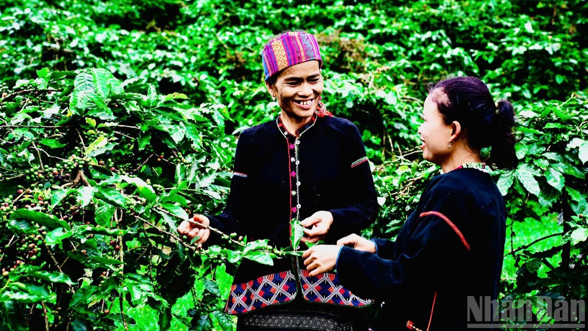 Mục tiêu tổng hợp dữ liệu kinh tế nền tảng phục vụ cho quản lý hiệu quả, minh bạch và bền vững. (Ảnh: CTV)