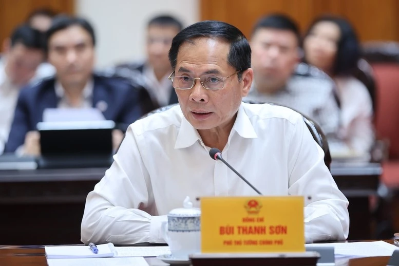 Phó Thủ tướng Bùi Thanh Sơn phát biểu.