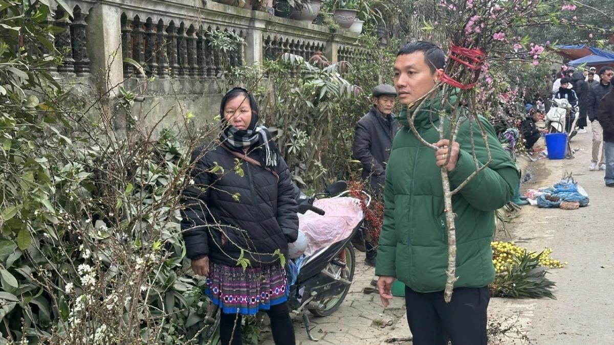 Những cành đào, cành mận theo chân người rời chợ.