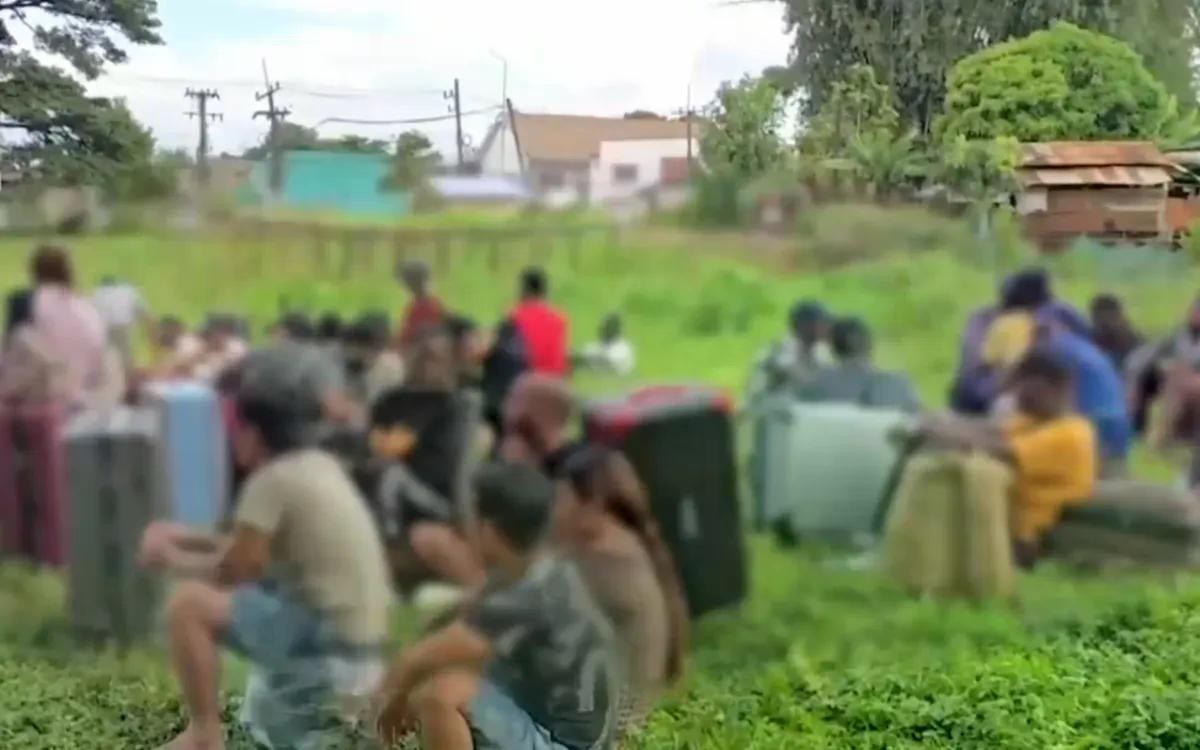 (Ảnh chụp màn hình)