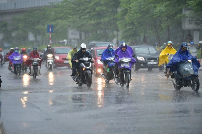 Vùng núi Bắc Bộ có mưa vừa, cục bộ có nơi mưa to đến rất to.