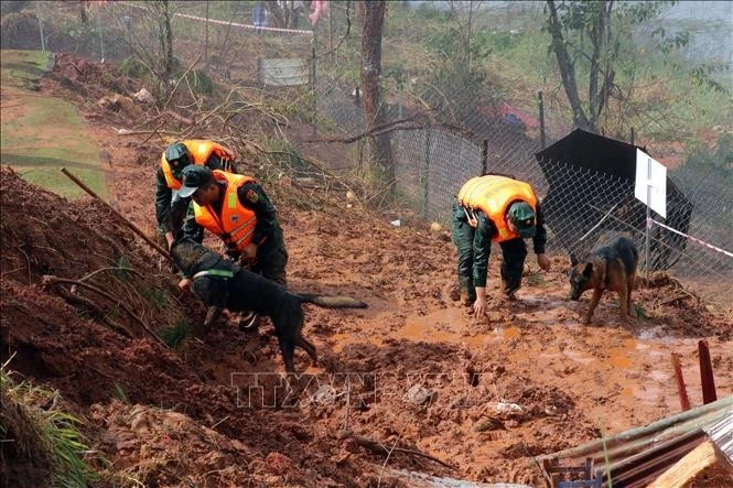 Ban Chỉ đạo Phòng thủ dân sự Quốc gia đề nghị Ủy ban nhân dân các tỉnh, thành phố tổ chức theo dõi chặt chẽ diễn biến thời tiết, thiên tai.