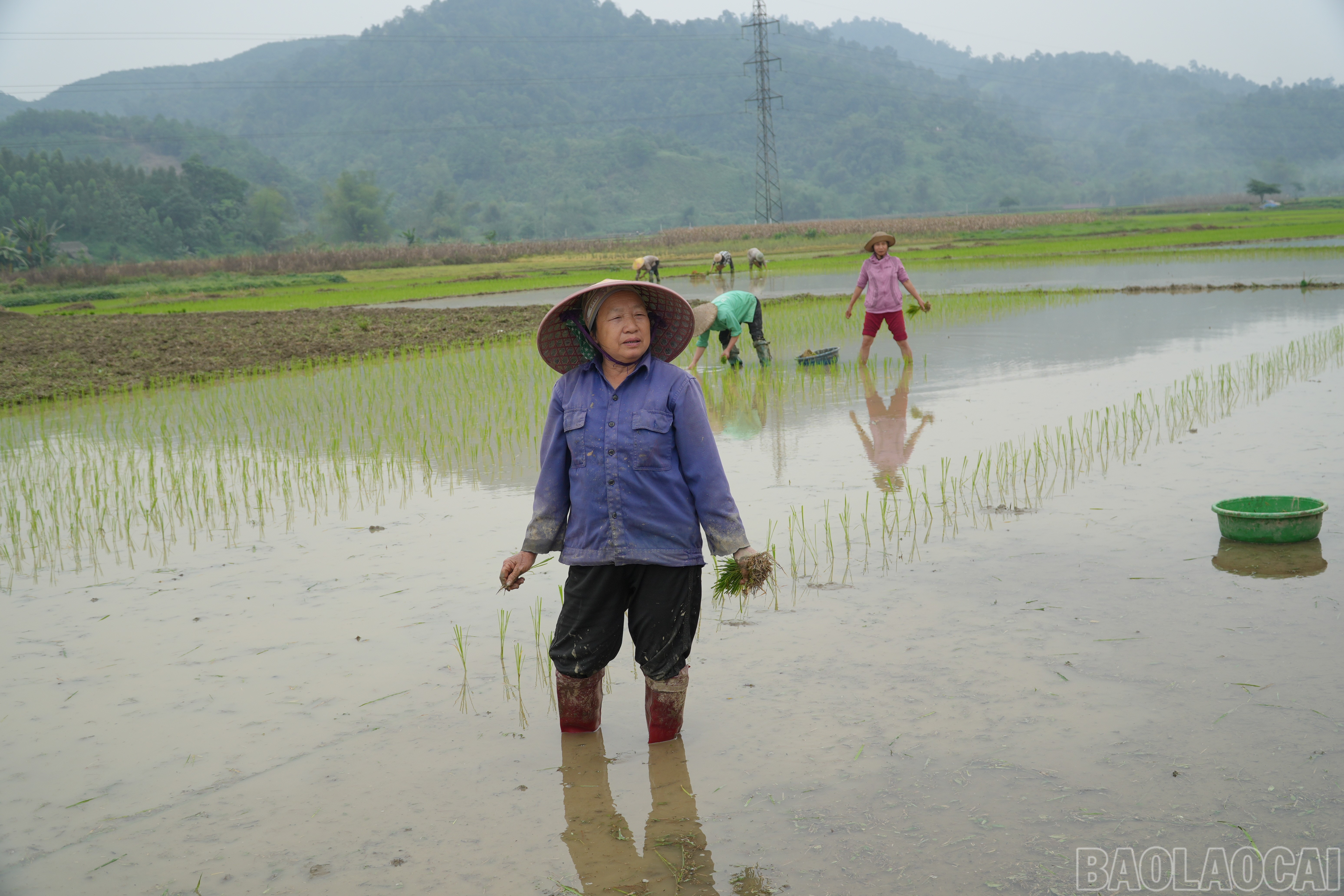 Bà Nguyễn Thị Lan lắng nghe nội dung tuyên truyền vận động đi bầu cử từ tổ bầu cử.