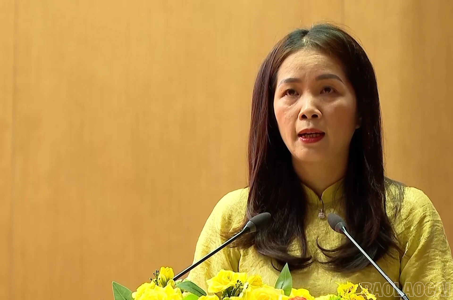 Bà Nguyễn Thu Hương - Phó Giám đốc Sở Giáo dục và Đào tạo phát biểu khai mạc cuộc thi.