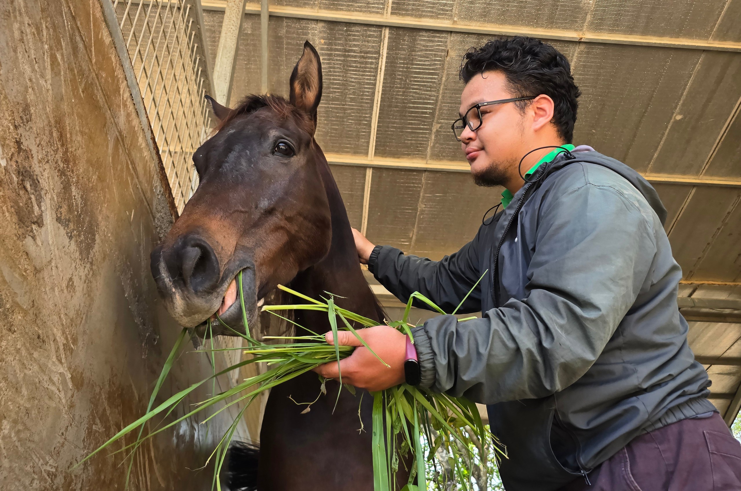 Cưỡi ngựa thể thao là môn thể thao đặc thù, đòi hỏi tính kỷ luật cao, sự kiên nhẫn và tinh thần chinh phục, bởi mỗi chú ngựa đều có cá tính và phản xạ khác nhau.