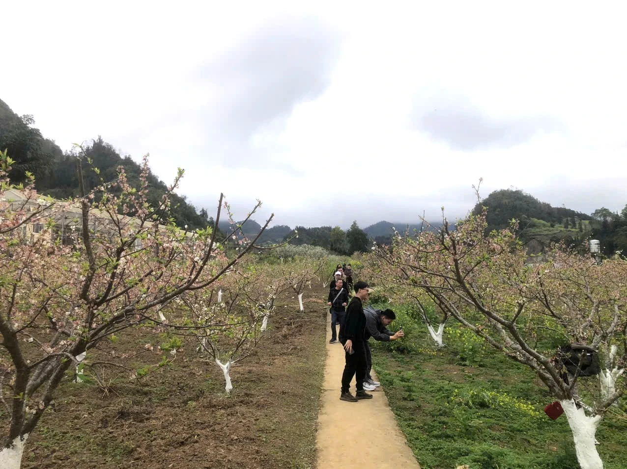 Nếu lên Bắc Hà, du khách đừng bỏ lỡ cơ hội vào nghỉ chân tại homestay và thung lũng hoa để được đắm chìm trong vườn hoa đầy màu sắc và thưởng thức những món ăn địa phương.