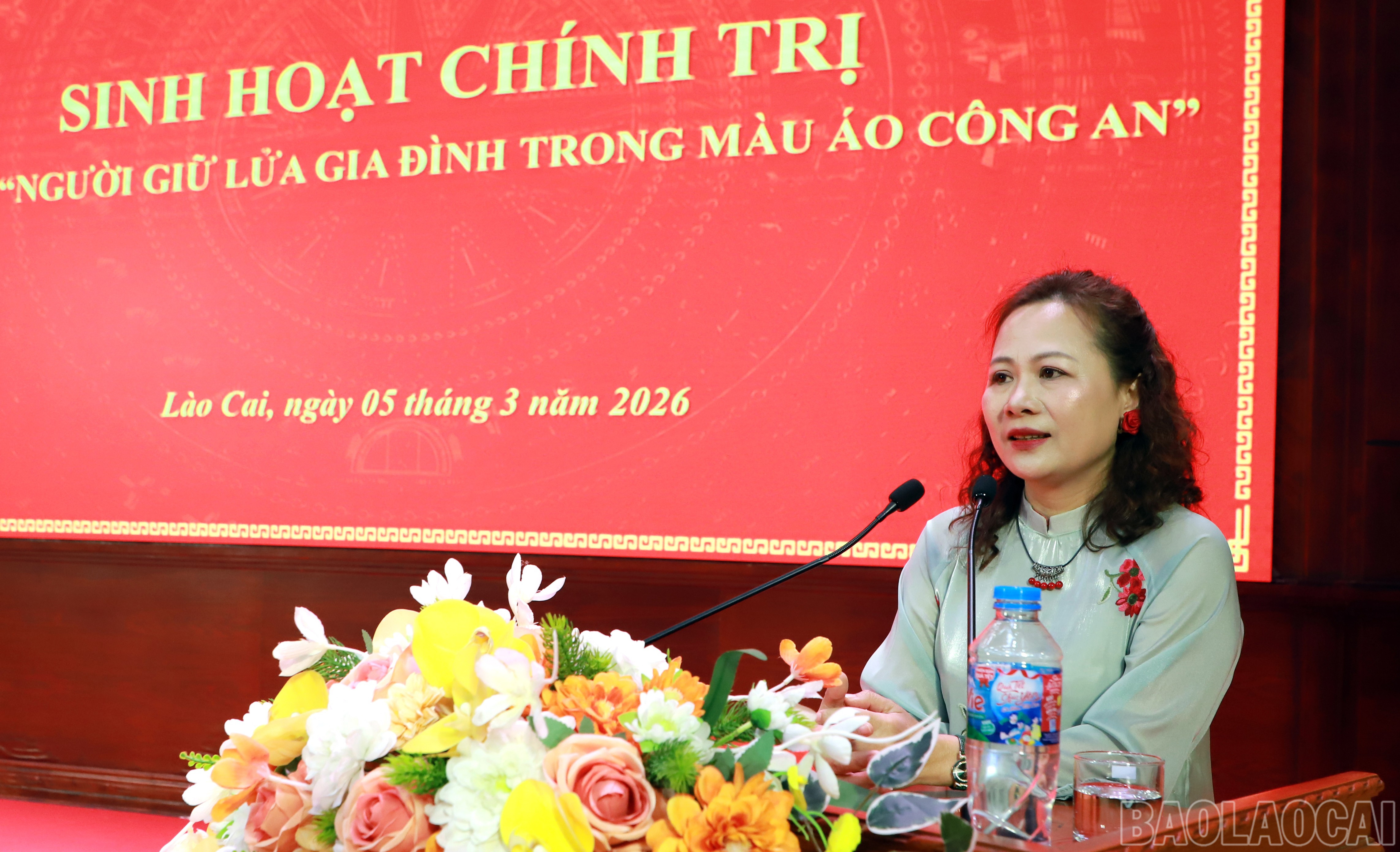 baolaocai-br_anh-7.jpg