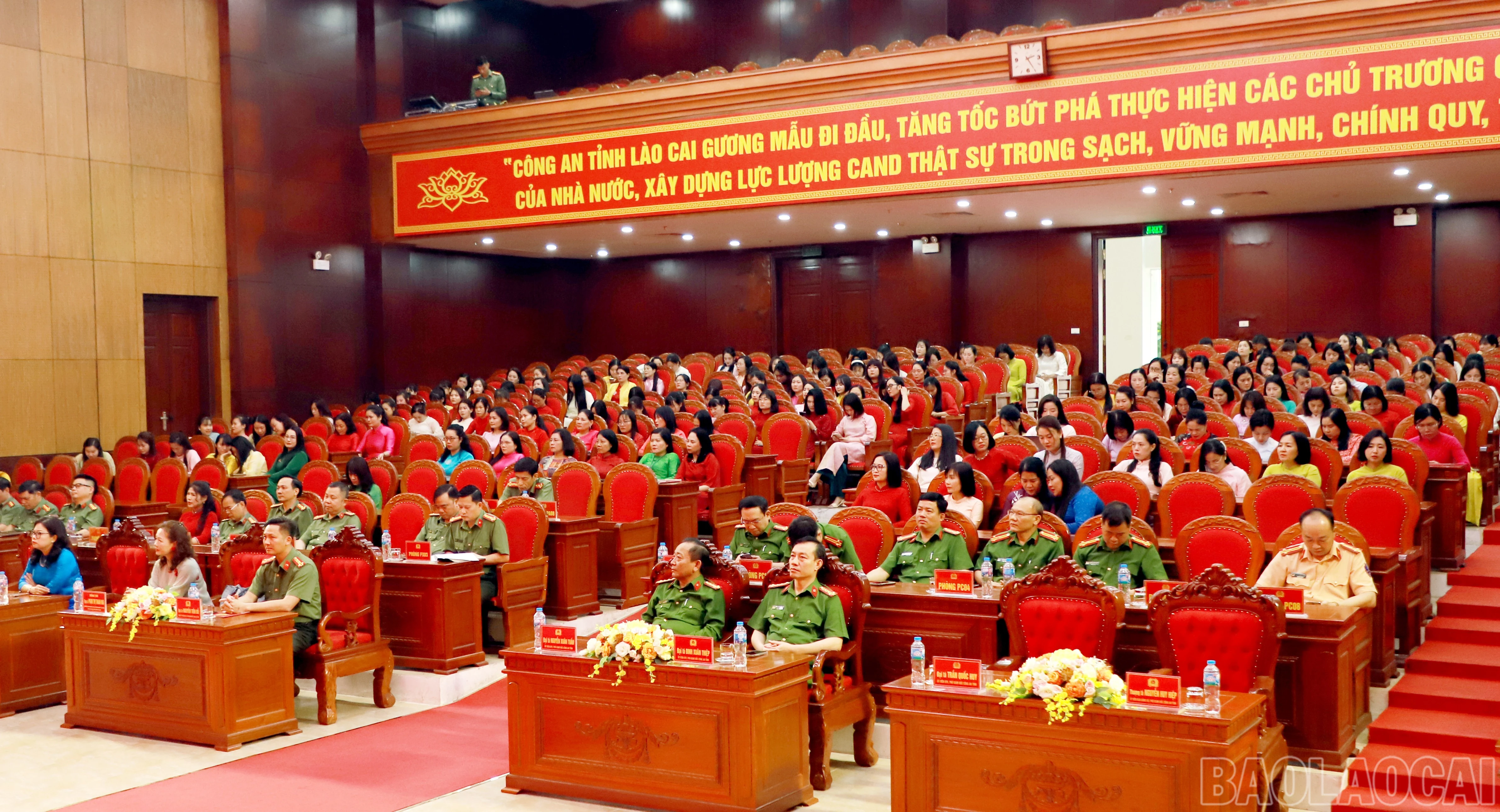 baolaocai-br_anh-3.jpg