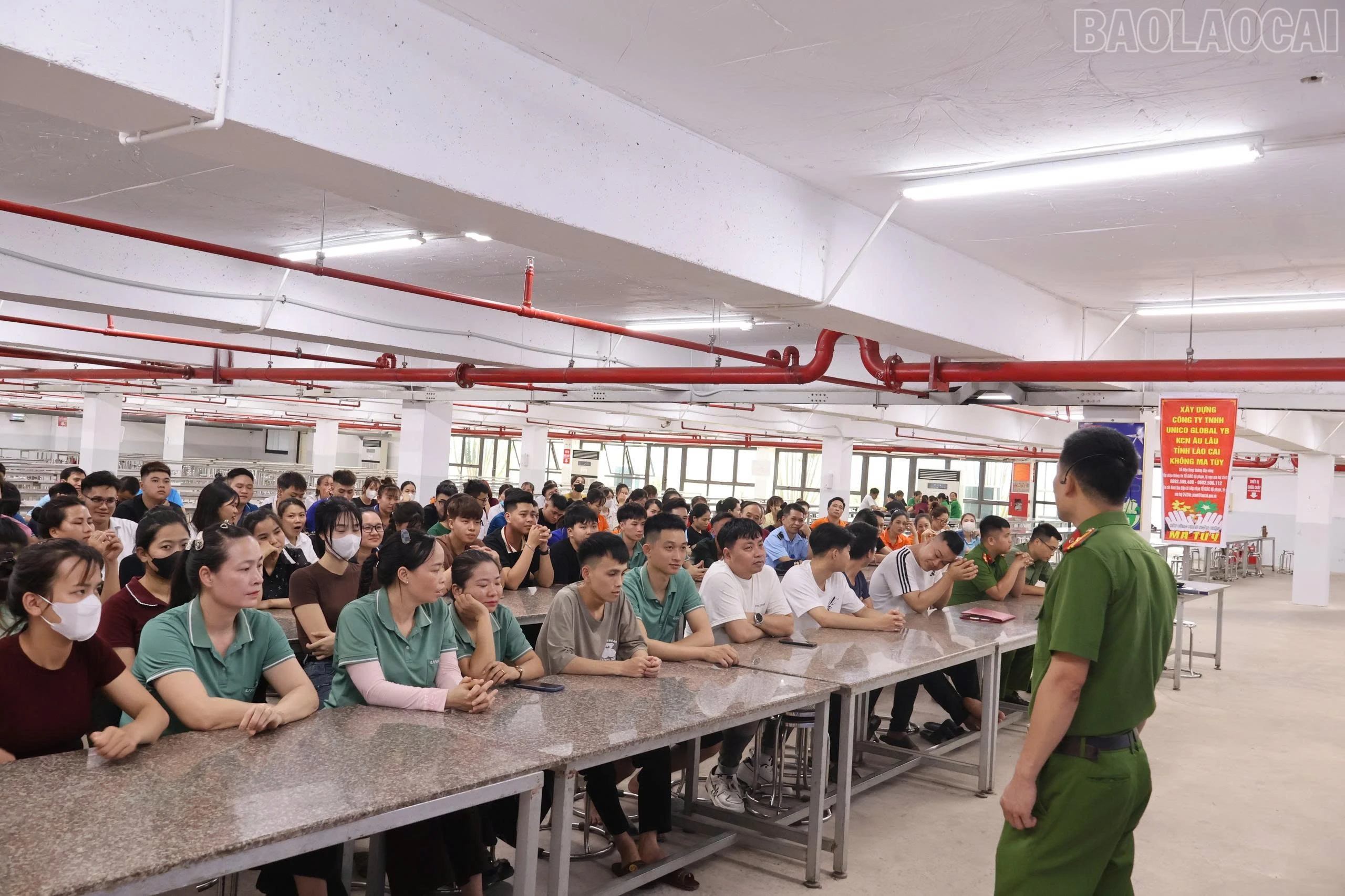 baolaocai-tr_anh-2-1525.jpg
