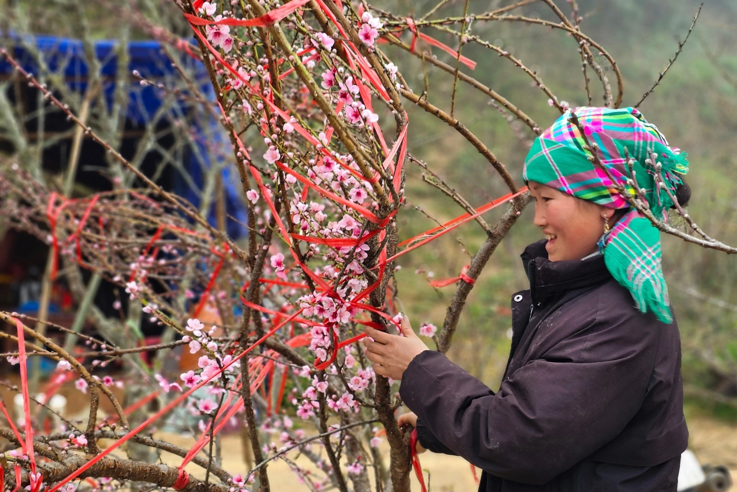 Phụ nữ, người già bó đào thuê, mỗi ngày kiếm vài trăm nghìn đồng để sắm sửa Tết.