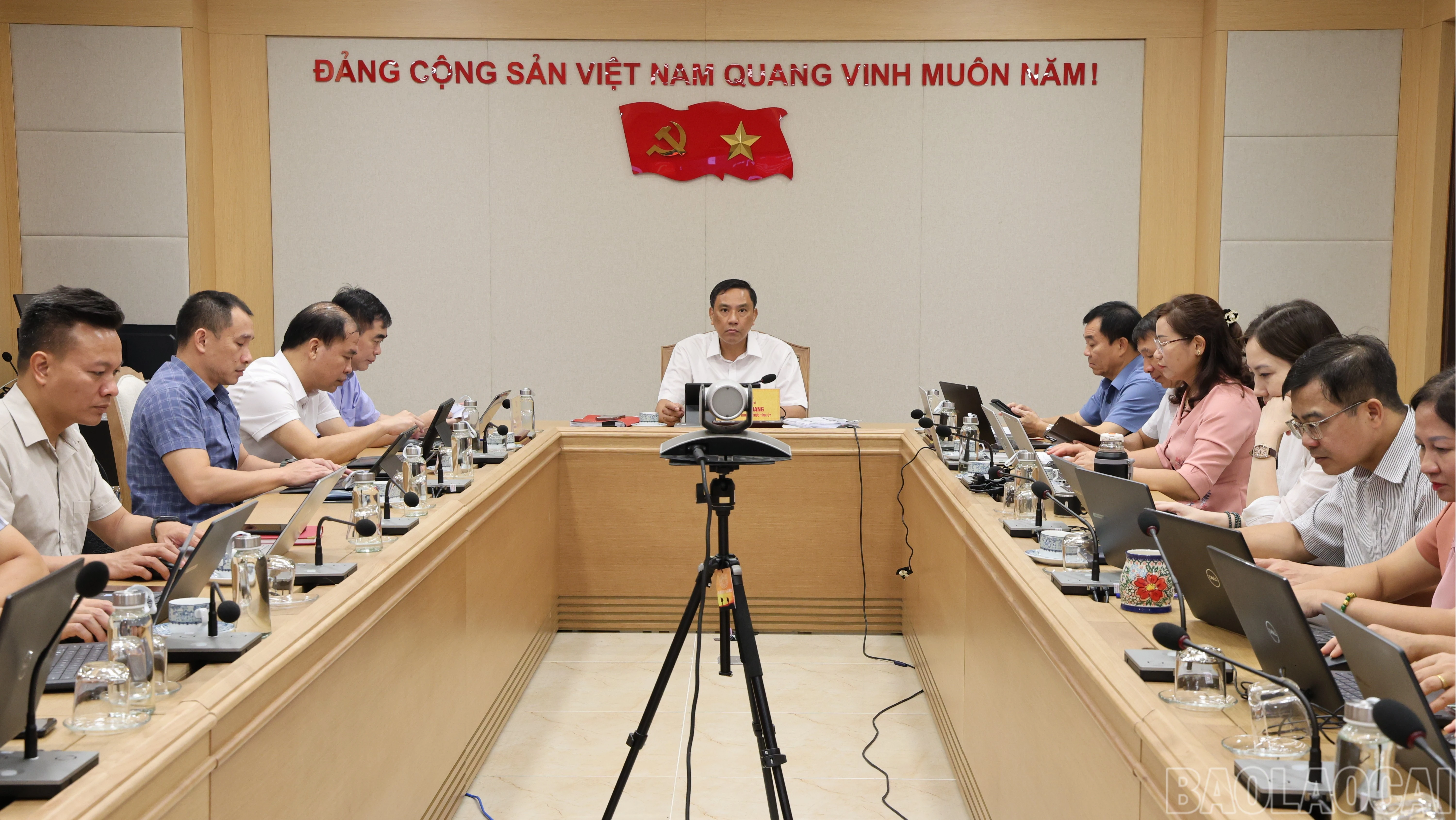 baolaocai-br_br-img-3983.jpg