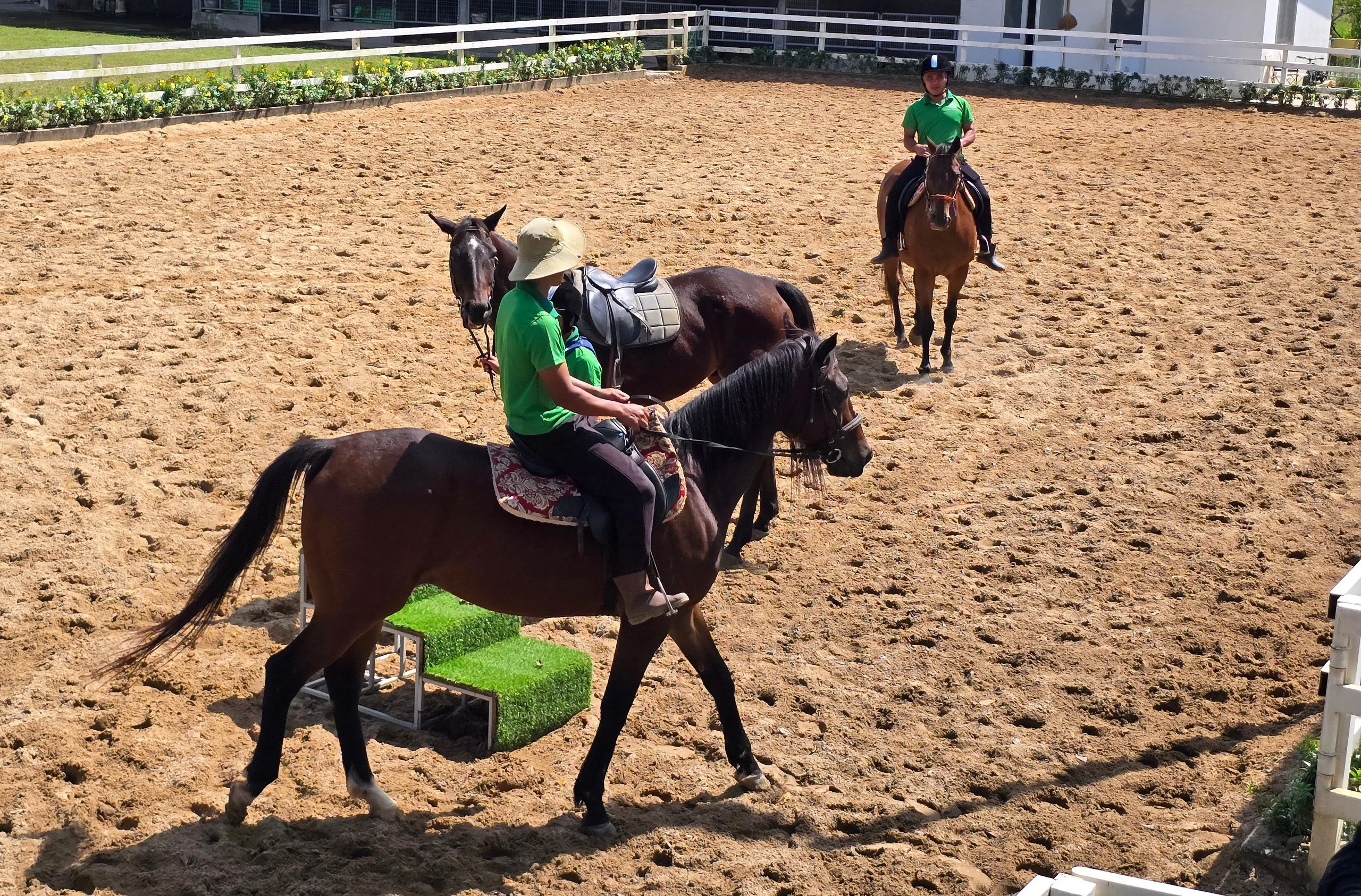 Tháng 12/2025, chú ngựa Thiên Mã của Công ty Thiên Mã Madagui đã giành ngôi quán quân tại cuộc đua thứ 9 tổ chức ở Perak Turf Club (Trường đua Ipoh, Malaysia). Thành tích này được xem là dấu mốc quan trọng, mở ra cơ hội cho đua ngựa thể thao Việt Nam vươn ra đấu trường quốc tế.