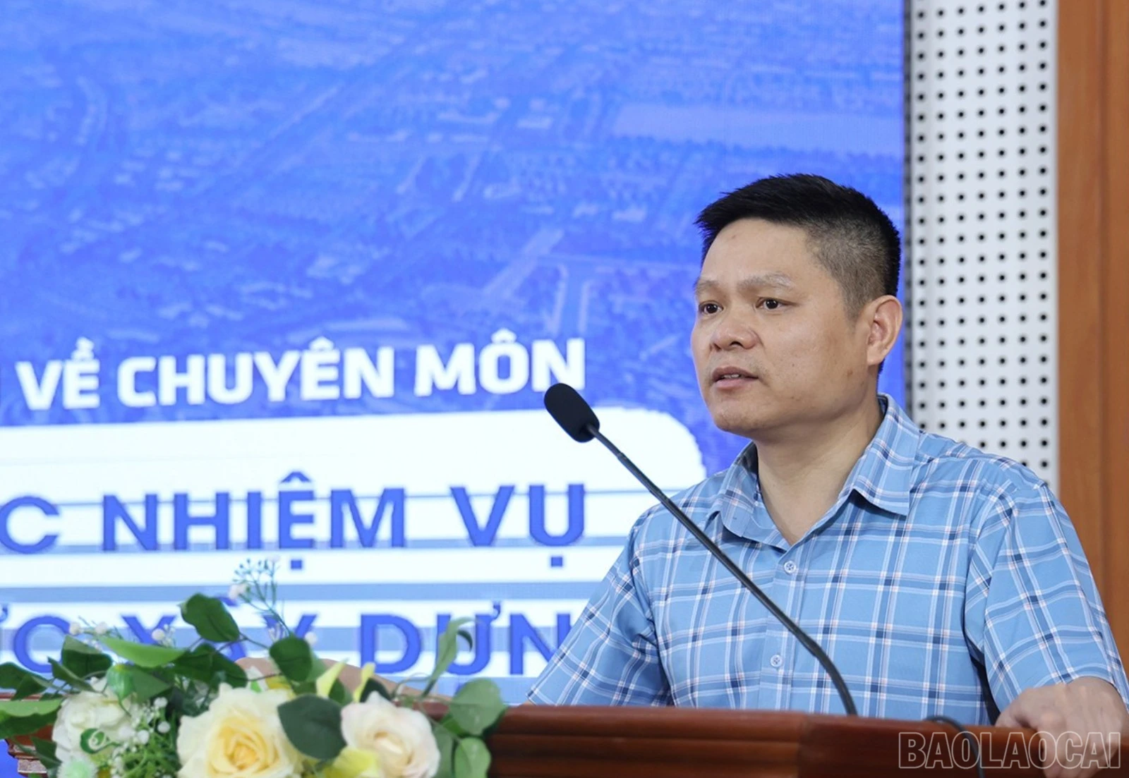 baolaocai-br_br-img-3055.jpg