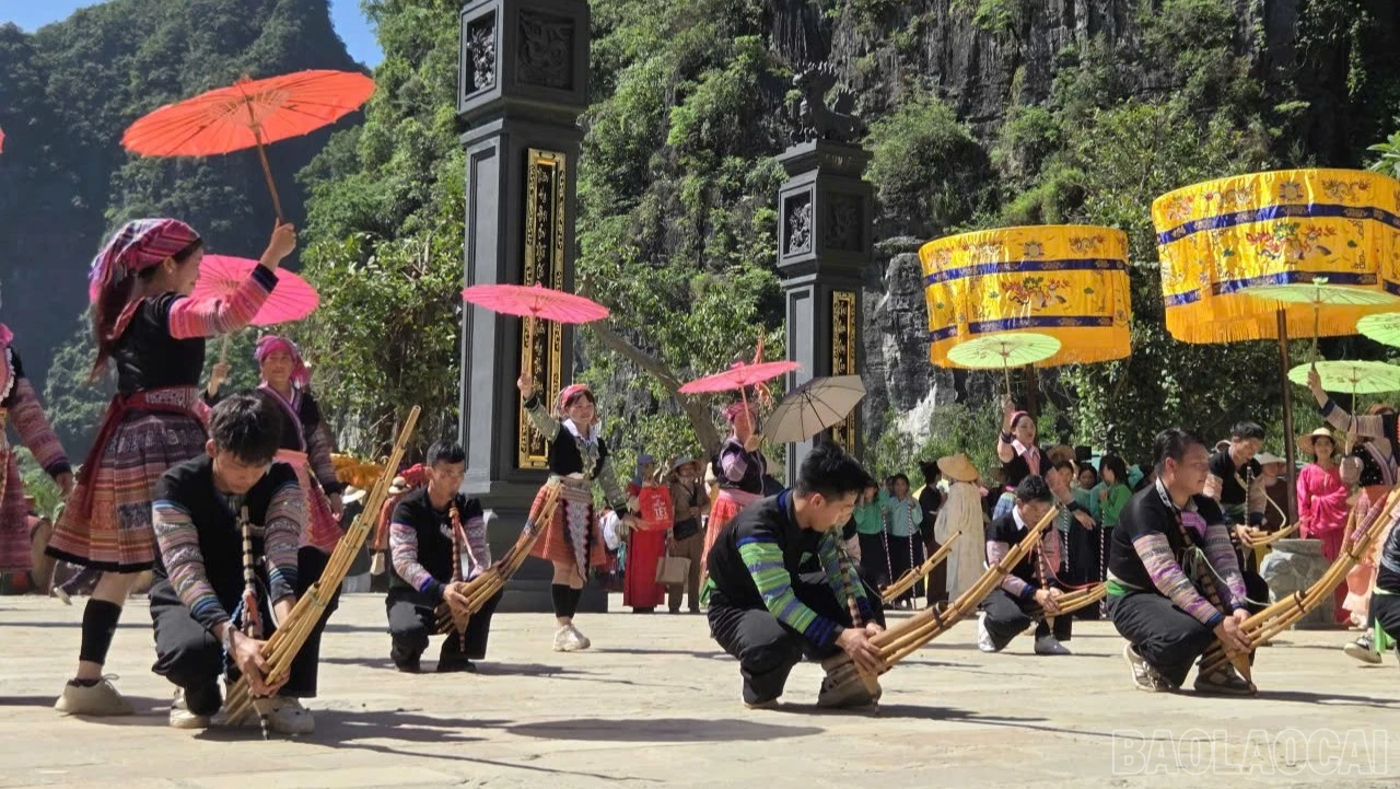baolaocai-br_z7859351236943-2952597599a5334ec55fc248debf35c0-5559.jpg