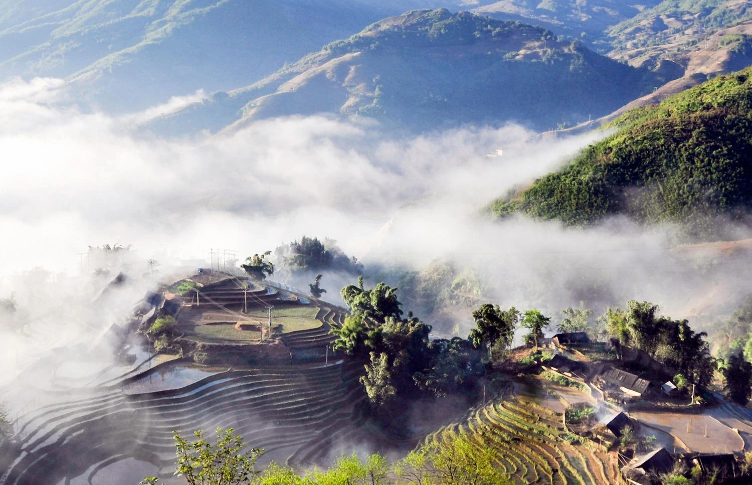 lao cai trong may.jpg