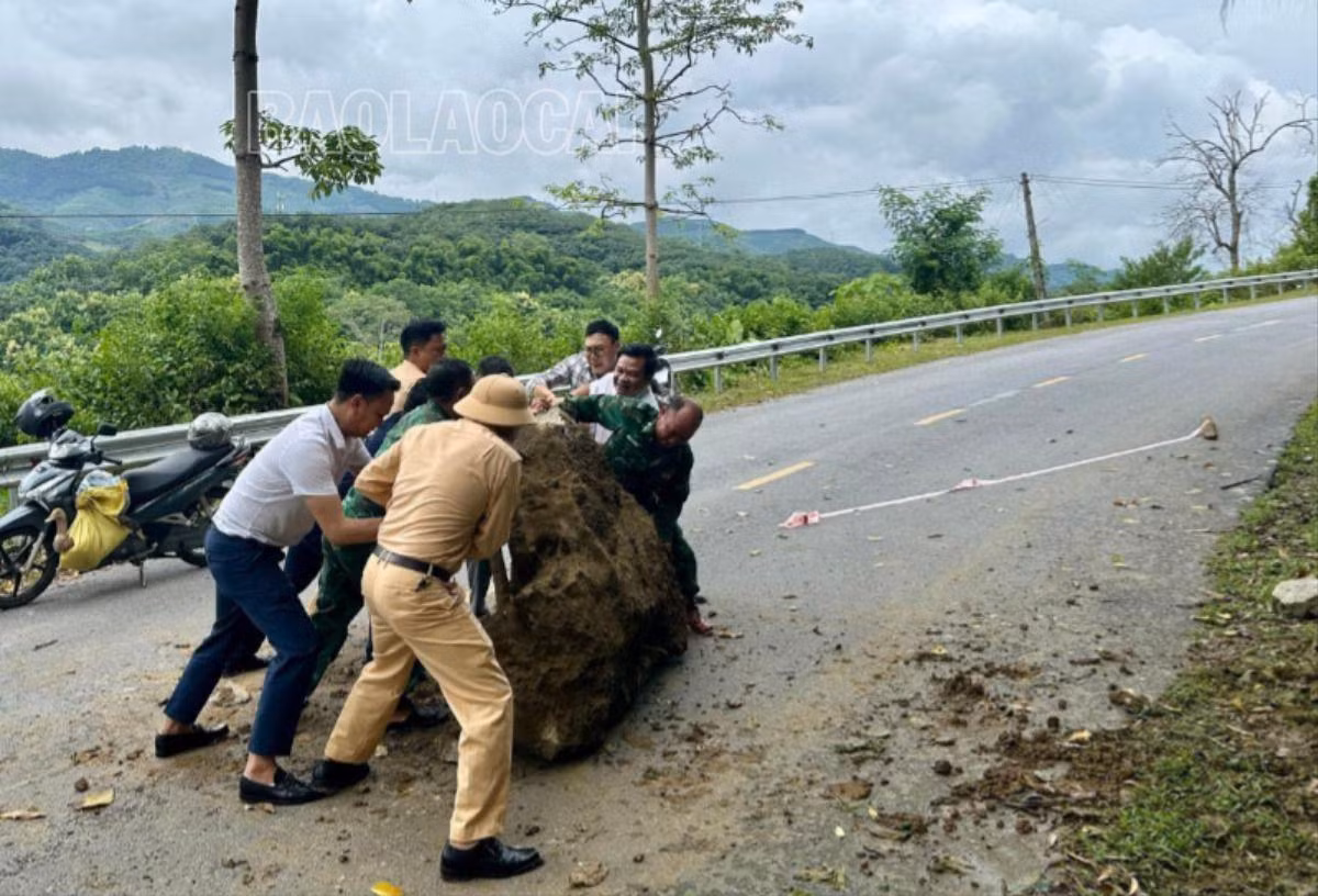 z5682916858010_80ffc62cbc39358714fcc829b43b2c54 (1).jpg