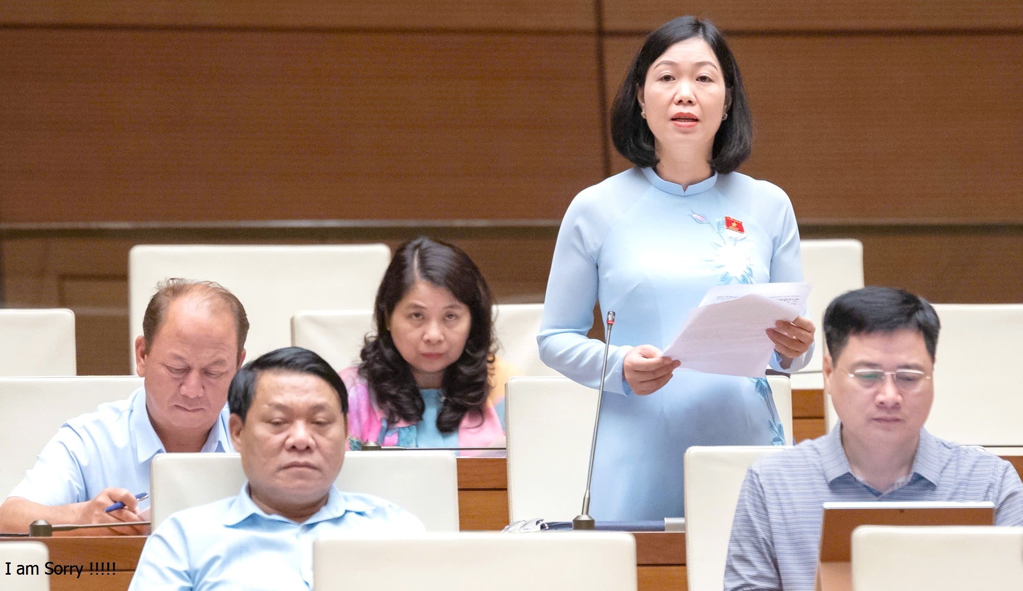 Đại biểu Nguyễn Thị Lan Anh tham gia ý kiến đối với dự thảo Luật Thanh tra (sửa đổi). qh22525.jpg