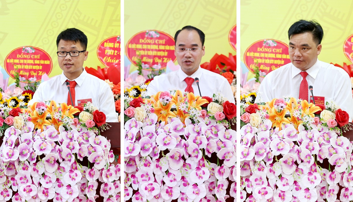 Đại biểu tham luận tại đại hội. bl12.jpg