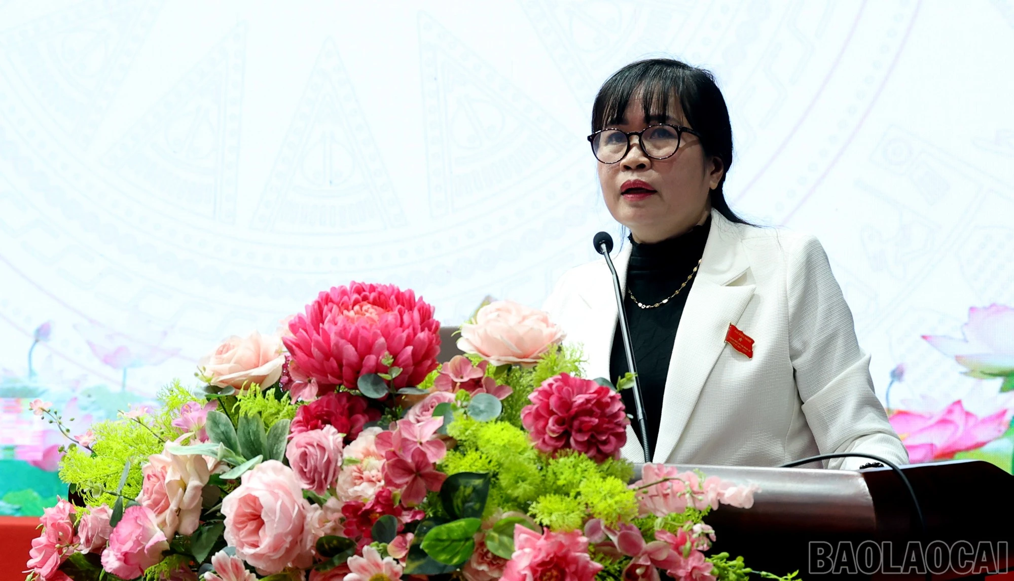 baolaocai-br_lc2-3404.jpg