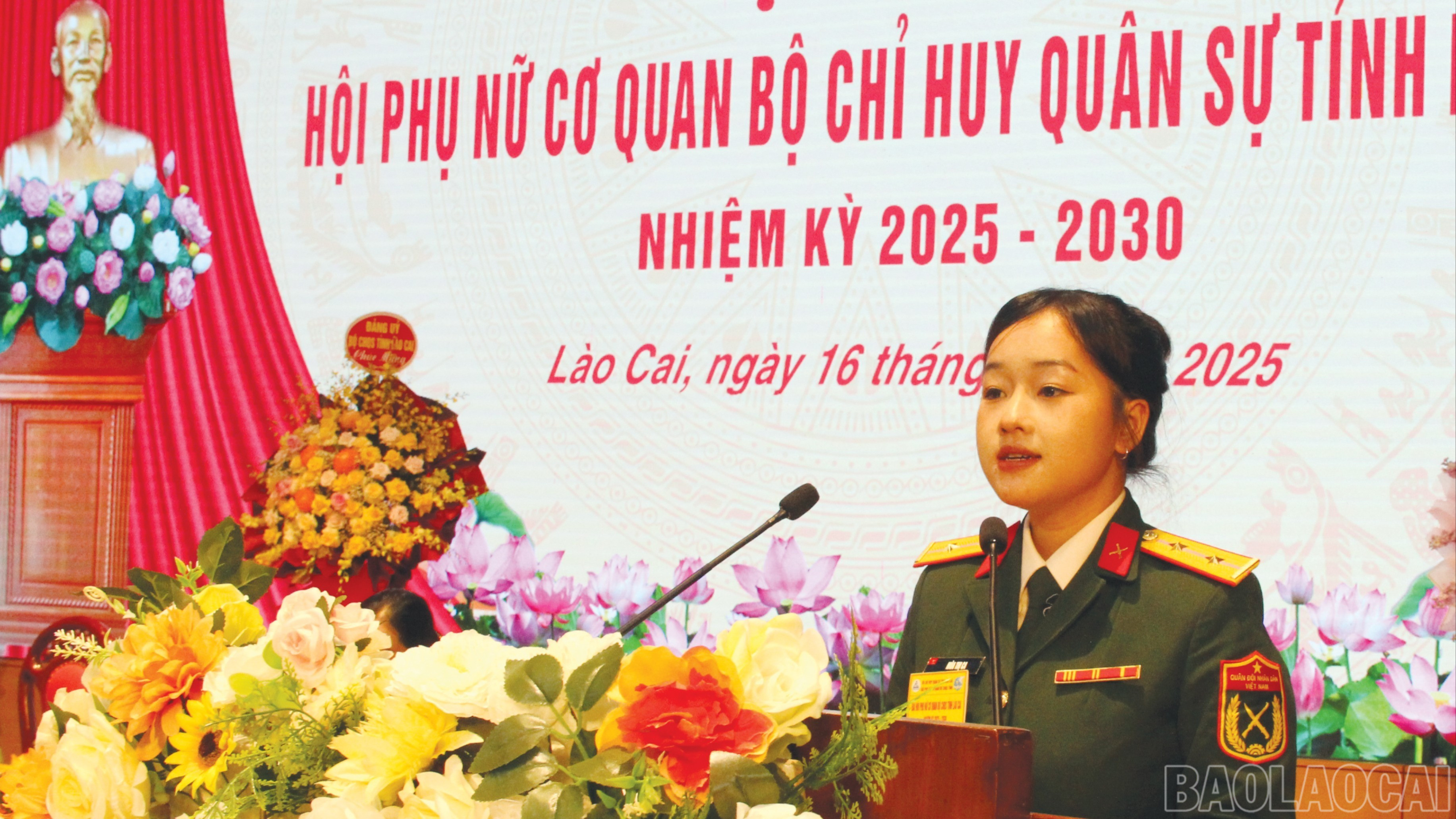 baolaocai-br_15-3871.jpg