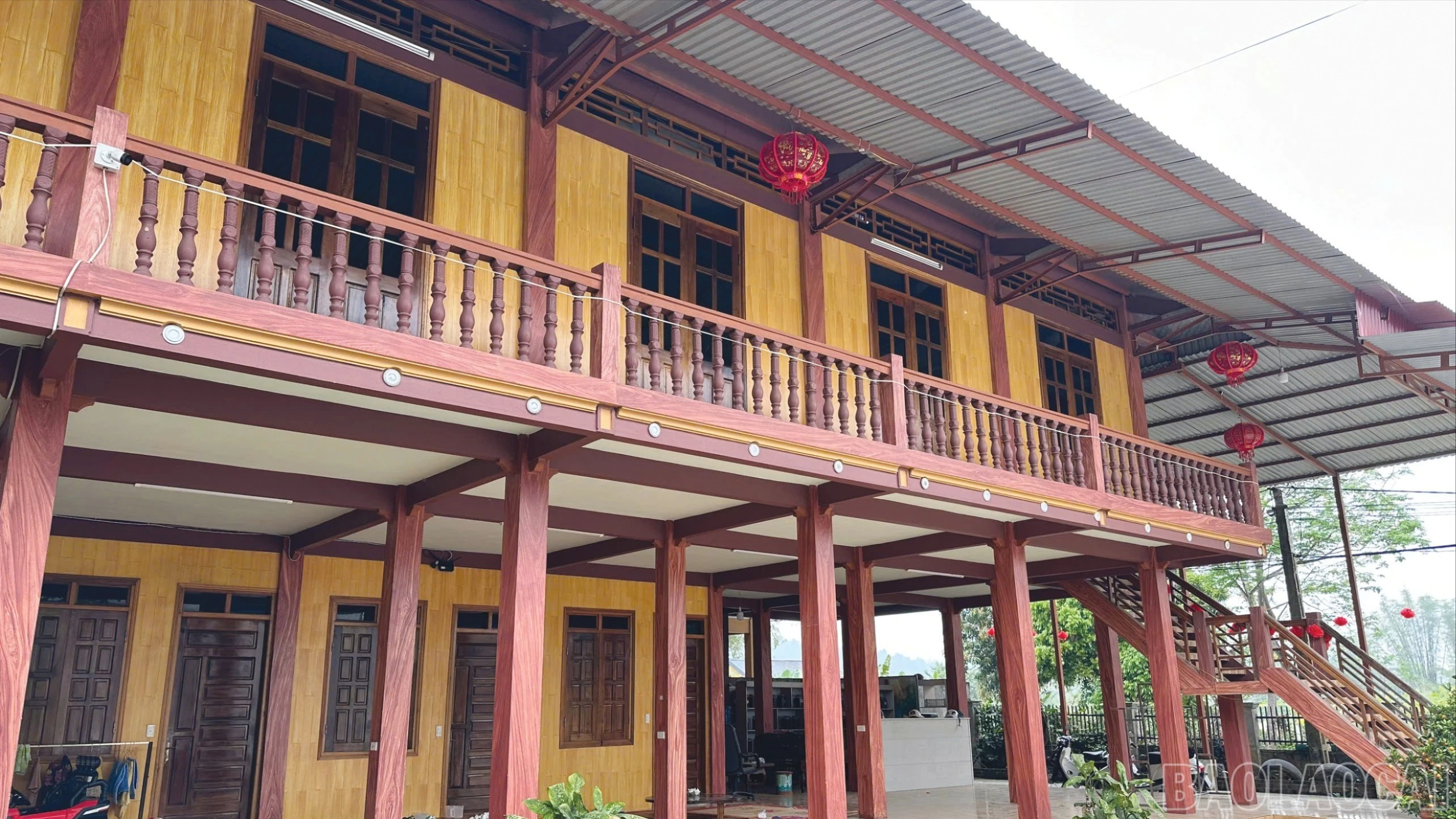 baolaocai-br_7-8282.jpg