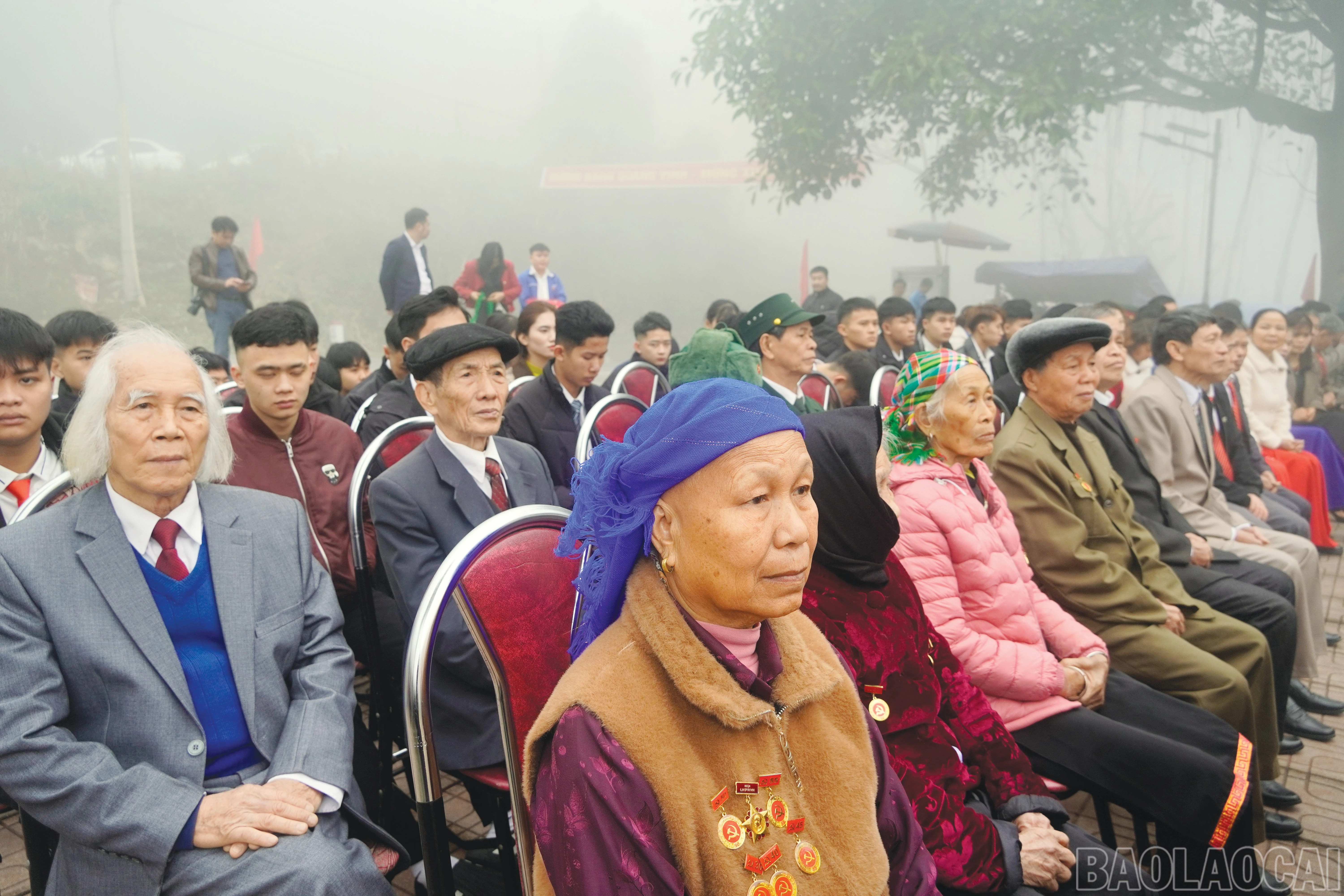 baolaocai-br_4.jpg